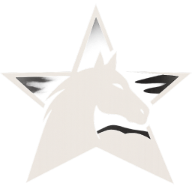 Tophorse logotyp